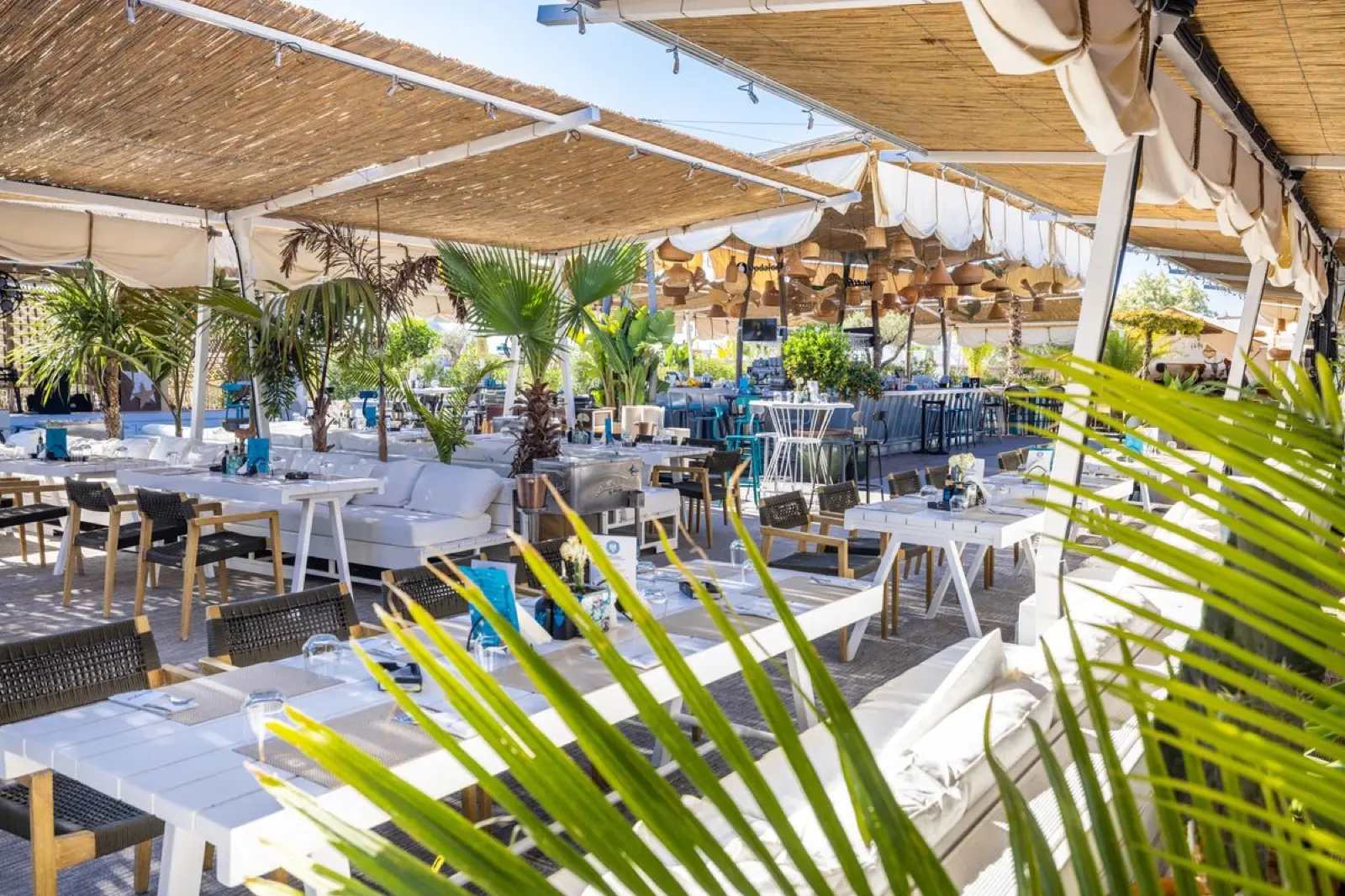 Biutiful by the sea